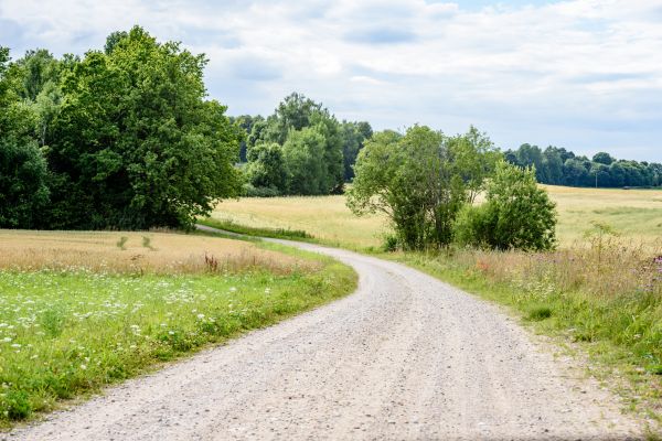 Cost of Stone Driveway Repair in Brooklyn