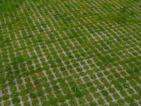 Permeable Pavement Service in Brooklyn